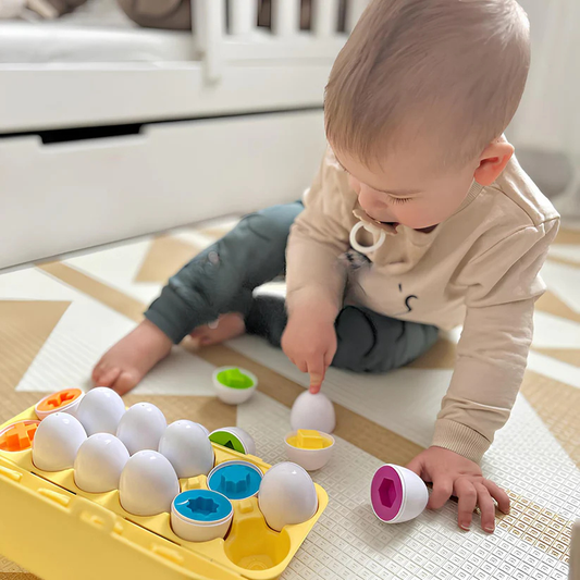 Montessori Geometric Eggs