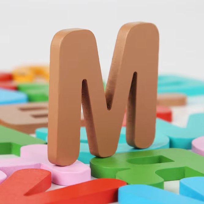 Montessori ABC Matching Cards