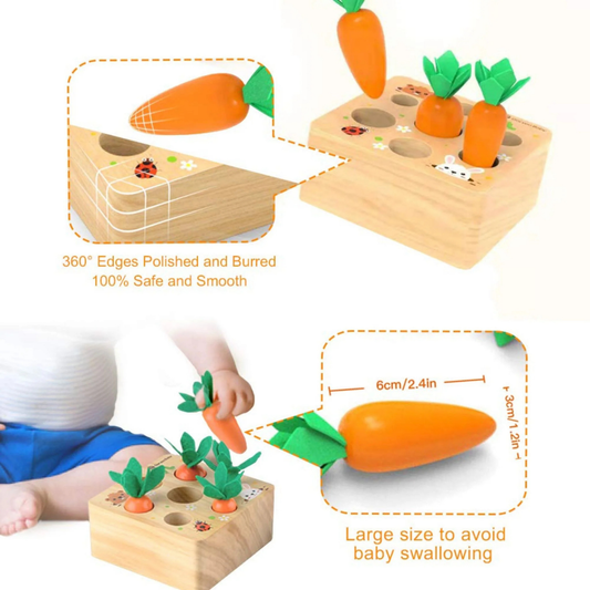 Montessori Carrot Set