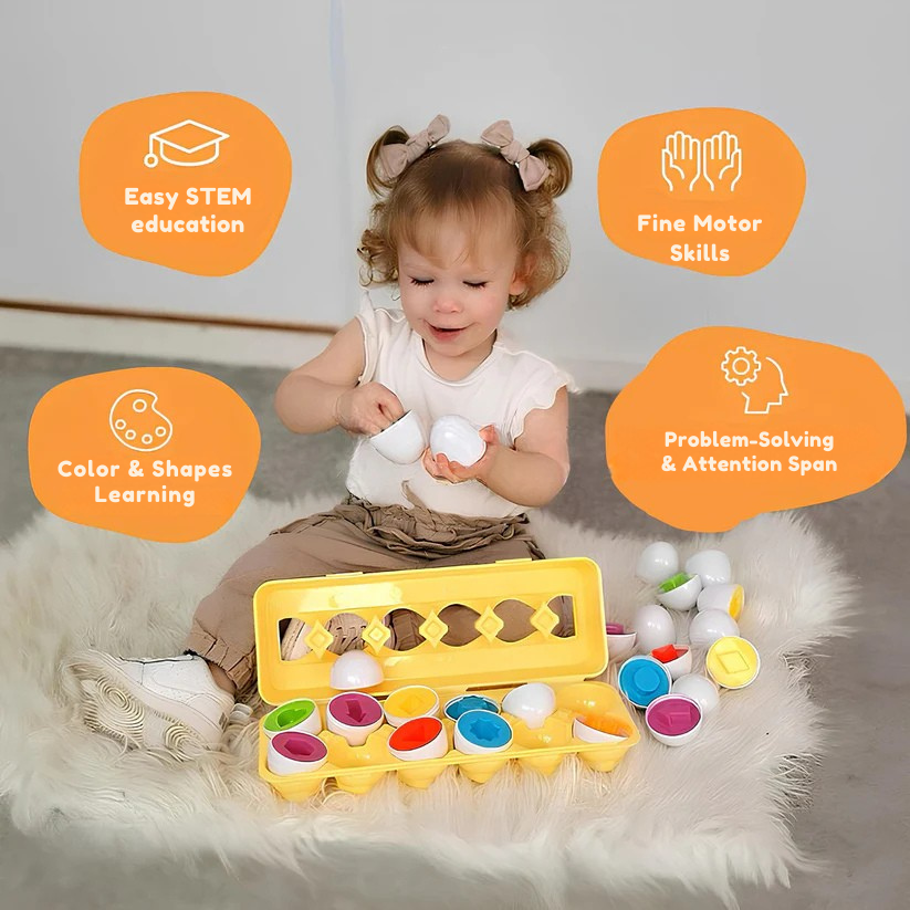 Montessori Geometric Eggs