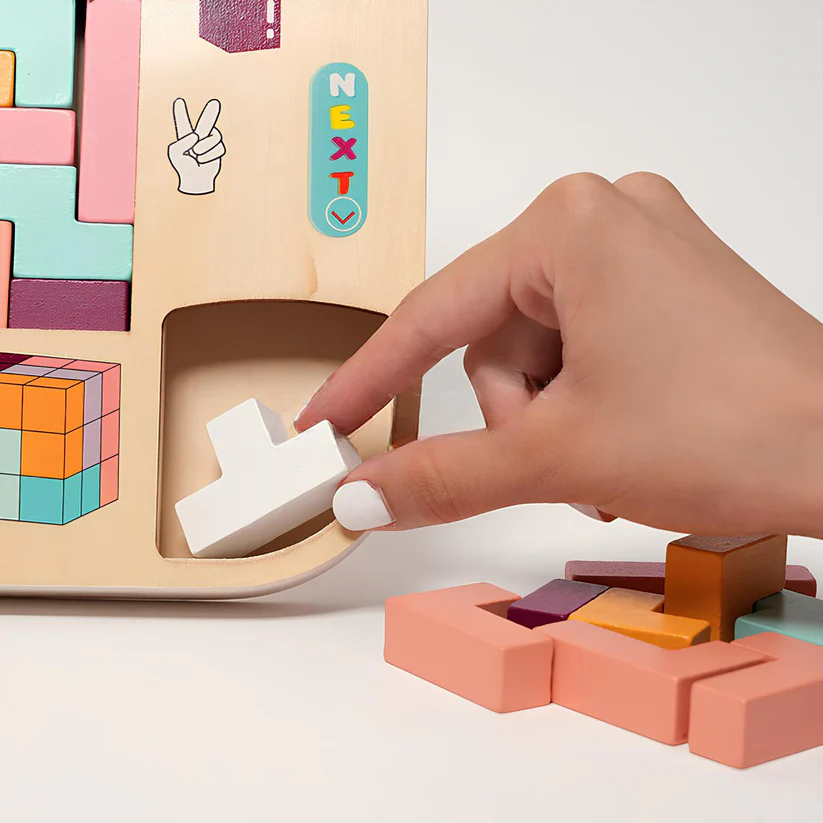Montessori Wooden Tetris
