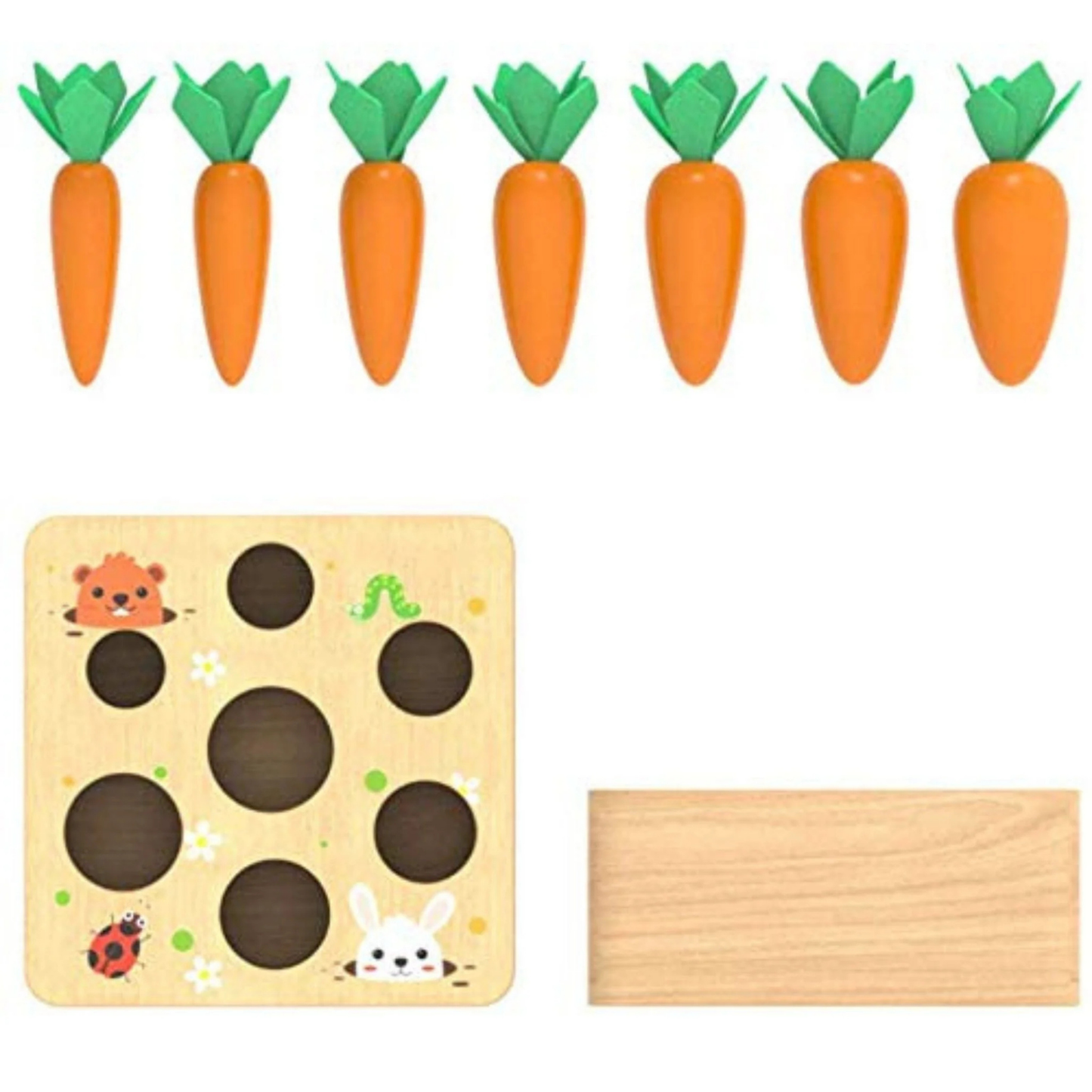 Montessori Carrot Set