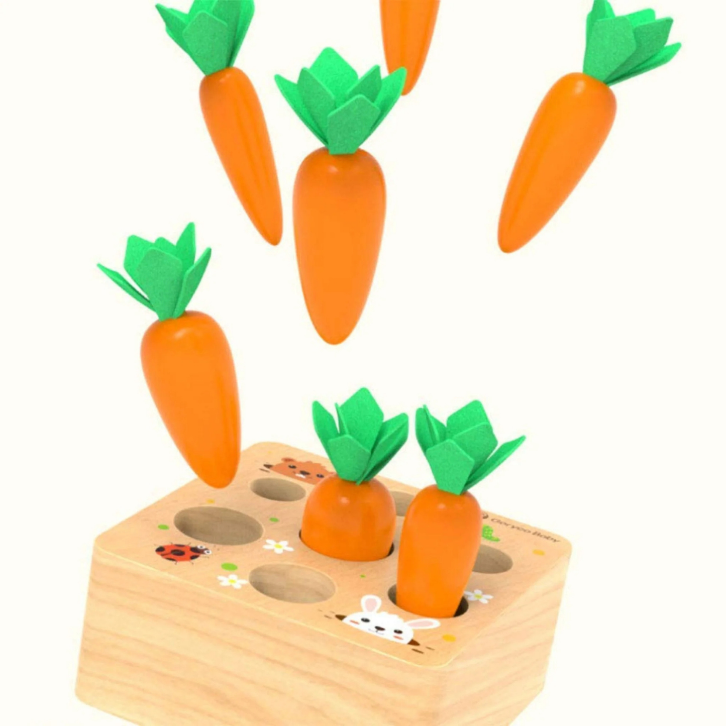 Montessori Carrot Set