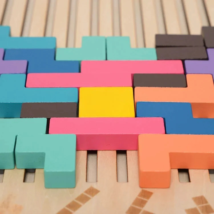Montessori Brain Blocks