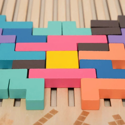 Montessori Brain Blocks